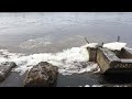 Ice flow in Riga. Сход льда на Двине