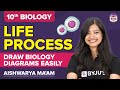 Life Processes Class 10 Important Diagrams | How to Draw Biology Diagrams Easily | Class 10 Boards