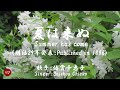 夏は来ぬ Natsu wa kinu( 倍賞千恵子 Baishou Chieko )ローマ字と日本語の歌詞、および英語の歌詞の意訳付き
