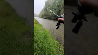 Рыбалка в дождь #рыбалка #мультипликатор #новоалтайск #Черемшанка #youtubeshorts