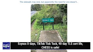 Flying Trojan Horses - Exynos 0-days, TikTok Tick Tock, 90-day TLS cert life, CHESS is safe!