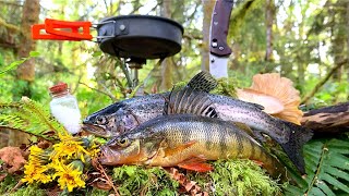 FISHING \& FORAGING for FOOD!!! Solo SURVIVAL CHALLENGE (Perch, Trout Catch \& Cook)