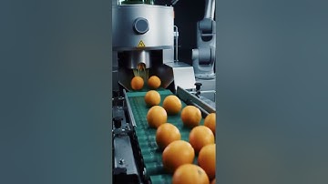 How Orange Juice Is Made in a Fully Automated Factory