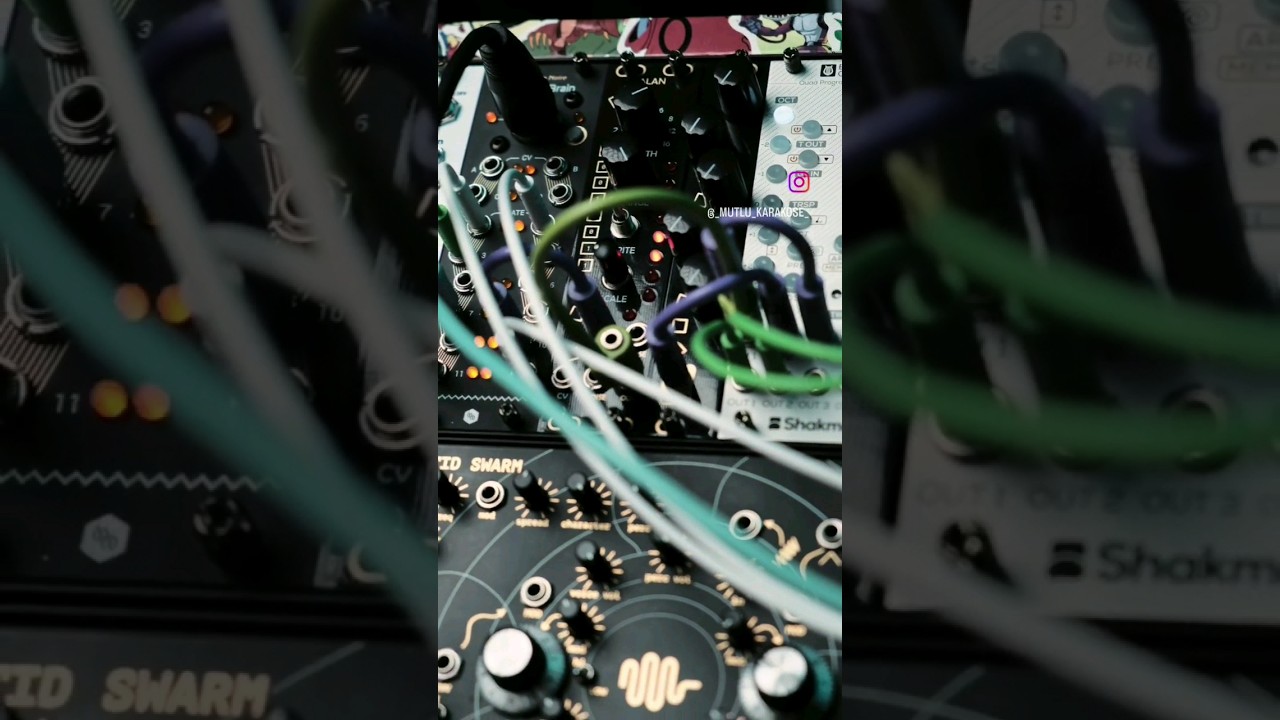 The World of Electronic Music 🎛 