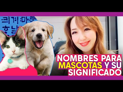 Video: Nombres de perros chinos