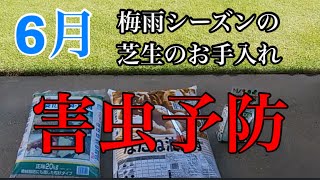 6月梅雨シーズン芝生のお手入れ【害虫予防】