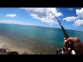 Multispecies fishing day in hawaii  dunking