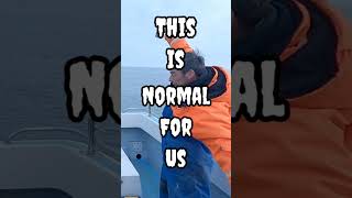 #Funny #boat Fishing Clips. Gotta Love A Loon..! Hayling Island Solent