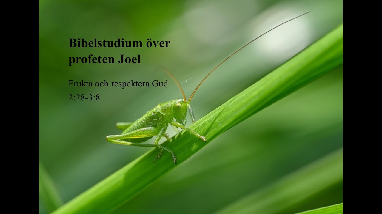 Bibelstudium över profeten Joel del 5