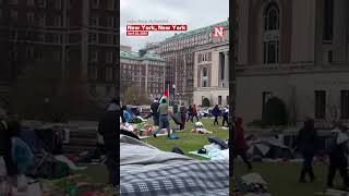 Columbia Cancels In-Person Classes Amid Gaza Solidarity Encampment