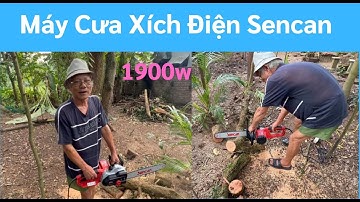 Máy cưa xích điện sencan 1900w | Máy cưa xích cắt gỗ | Đông Phong