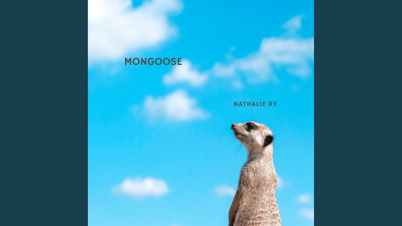 Mira Mongoose en YouTube Mira Mongoose en YouTube