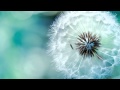 Masanori Yasuda - What A Wonderful Summer [Original Mix]