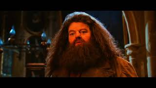Hagrid tries to defend Harry from Dumbledore