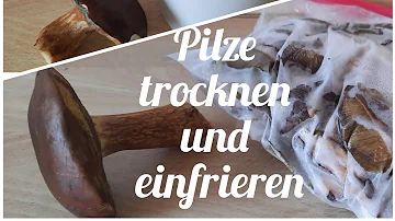 Bei welcher Temperatur trocknet man Pilze im Backofen?