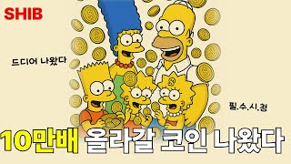 ( 심슨코인 )10만배 올라갈 코인 예언했나..?