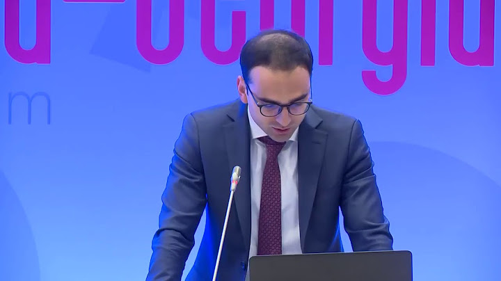 Տիգրան Ավինյանի ելույթը հայ-վրացական գործարար համաժողովին