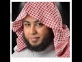تقليد الشيخ أنس جلهوم آيات من سورة إبراهيم
