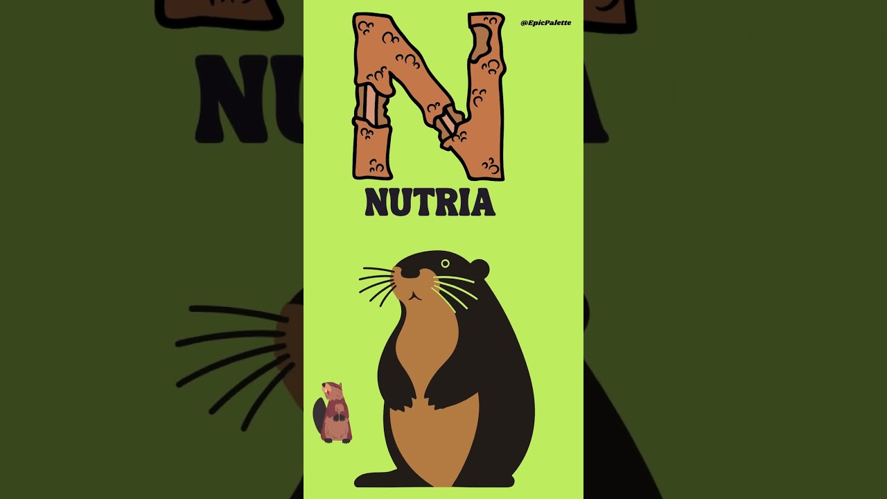 ABC Animals | Alphabet Flashcards for kids - Learn Alphabets With Animals | 