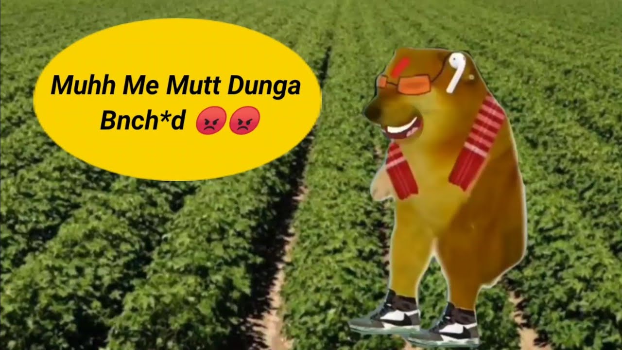 Practical fees || Cheems Doge Memes