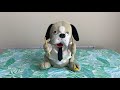 Youtube Thumbnail title
