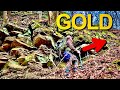 GOLD found DEEP in this Special Spot! WHY?!