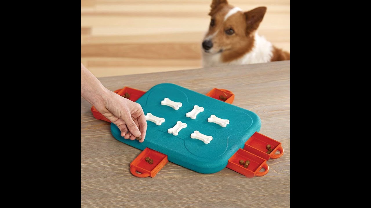 Nina Ottosson Casino High Level Interactive Puzzle & Toy for Dogs