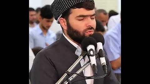 ماتيسر من سورة يوسف للقارىء الشيخ بيشةوا قادر الكردي