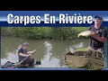 Pche rapide  la carpe en t sur une petite rivire  surprise   