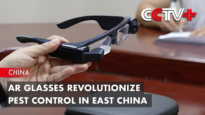 AR Glasses Revolutionize Pest Control in East China | BIZTODAY - DayDayNews