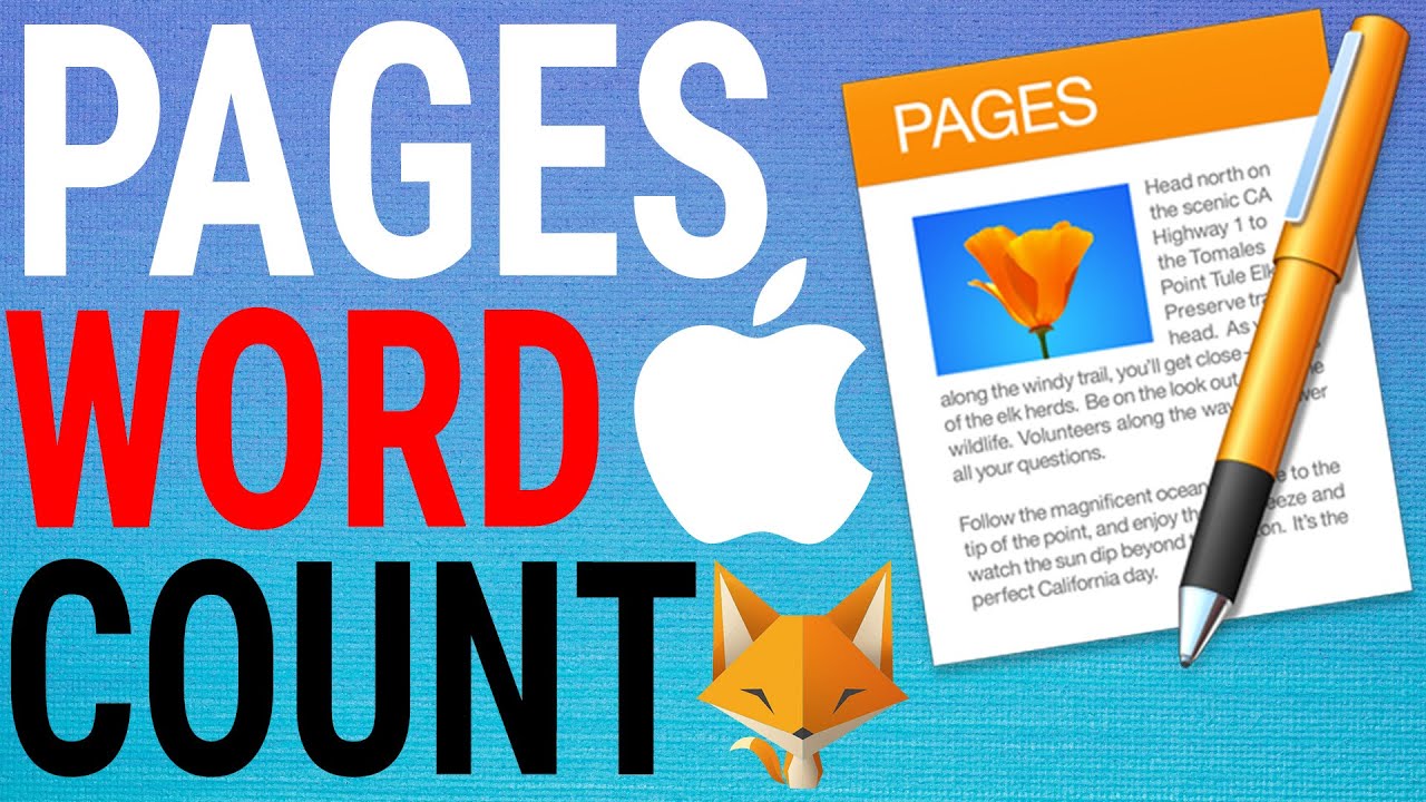 Show word count and other statistics in Pages on Mac – Apple Support (UK)