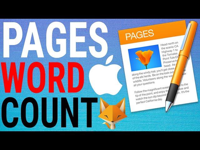 Show word count and other statistics in Pages on Mac – Apple Support (UK)