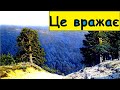 ❗Костянтин Крижицький. Вражаючі картини майстра реалістичного пейзажу. Видатний художник України.