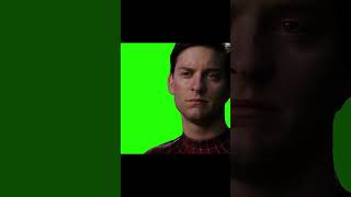 Spider-Man 3 Peter Forgives Sandman Green Screen