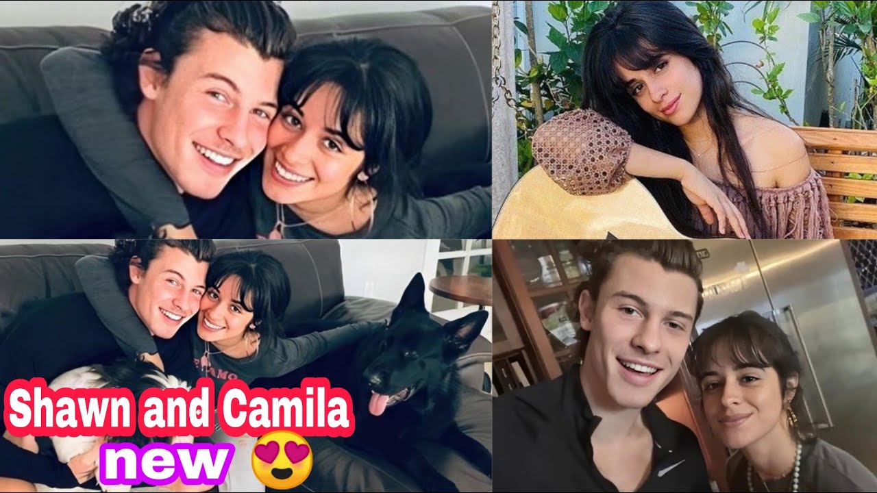 Shawn mendes and camila cabello new 😍 happy family and insta story (the cutest picture ever 💜