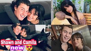 Shawn mendes and camila cabello new 😍~ happy family and insta story (the cutest picture ever 💜)