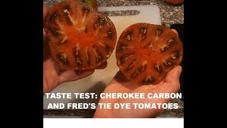 Taste Test: Cherokee Carbon and Fred's Tie Dye Tomatoes, Plus My Biggest Tomato of 2018