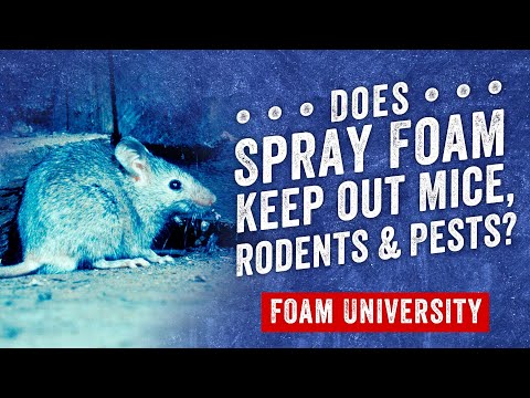 Video: Zal schuimrubber muizen buiten de deur?