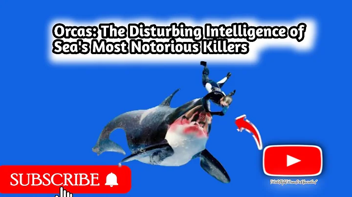 Orcas: The Disturbing Intelligence of Sea's Most Notorious Killers