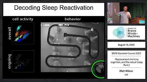 Hippocampal memory, cognition, and the role of sleep (part 2)