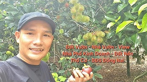 Đất Vườn Long Khánh. Nhà Đất Đồng Nai. BDS Long Khánh Đồng Nai. Nhà Vườn Đẹp có 500m2 thổ cư bán gấp