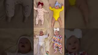 cute cutebaby cutecat cutegirl funny shortsvideo shortsfeed shortvideo shorts youtube