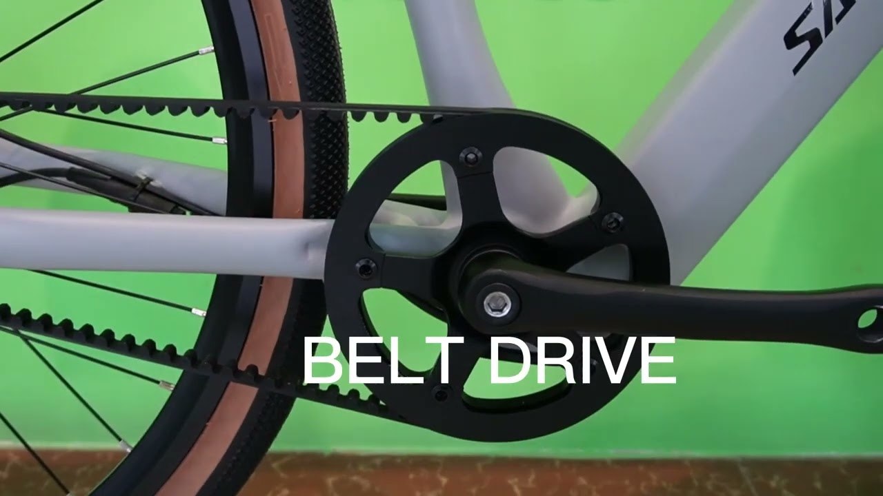 Belt drive ebike with torque sensor