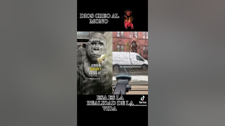 esas es la realidad de la vida#fyp#Paraty#Tiktoker#Viral#Wewewe