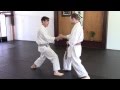 Karate Continuity of Movement 05