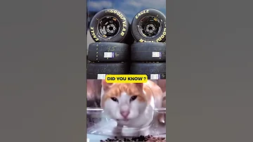 NASCAR MYSTERY The Flying Tire At Martinsville 
