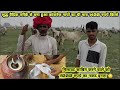 The Best Ghee in the World👍 कांकरेज गायों का वैदिक तरीके से बना घी👌मात्र 1400 रुपये मे होम डिलीवरी