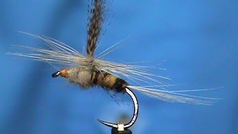 Fly Tying a Sandy Dun with Jim Misiura