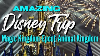 Amazing Disney World Trip. Magic Kingdom, Animal Kingdom, Epcot during Flower & Garden Festival