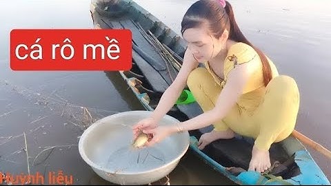 Quá Hồi Hộp Với Màn Giăng Lưới Mùa Nước Nổi Dính Bầy Cá Rô Đồng Ngon Quá Tập 3